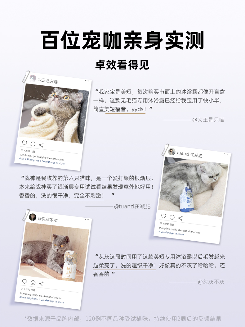 神经猫猫咪专用沐浴露猫用沐浴液洗澡抑菌除螨幼猫沐浴乳宠物用品 - 图3