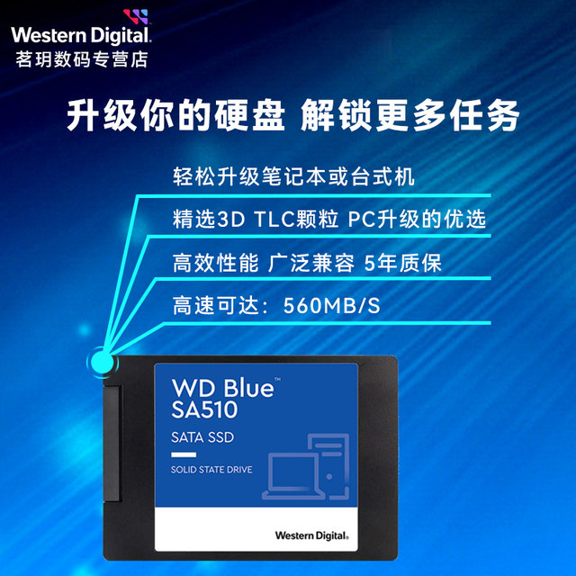 WD Western Digital universal solid state drive 250G-4T optional