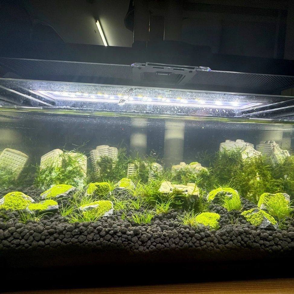 精致小鱼缸造景仿真苔藓造景石青苔微景观鱼缸造景摆件盆景铺面水,淘宝优惠券,粉丝福利购,淘宝优惠卷