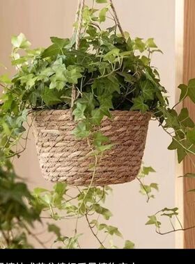 框壁挂绿植藤编编织草编