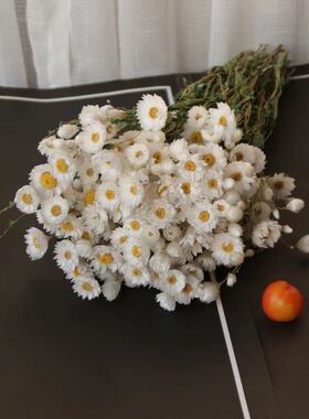 适合客厅放的干花束真花