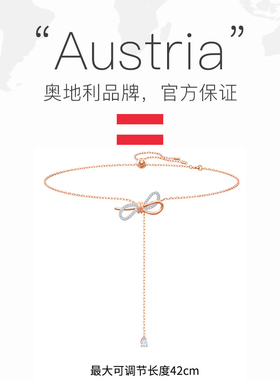 Swarovski/施华洛世奇项链