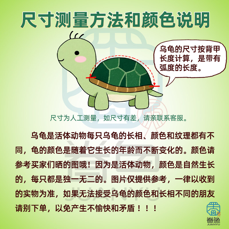乌龟活物大巴西龟小长寿观赏宠物龟黄金巴西龟绿色情侣红耳龟,淘宝优惠券,粉丝福利购,淘宝优惠卷