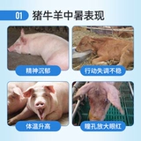 Beast Bingshuang VC разрешает тепло и теплостойкость.