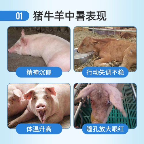 Beast Bingshuang VC разрешает тепло и теплостойкость.