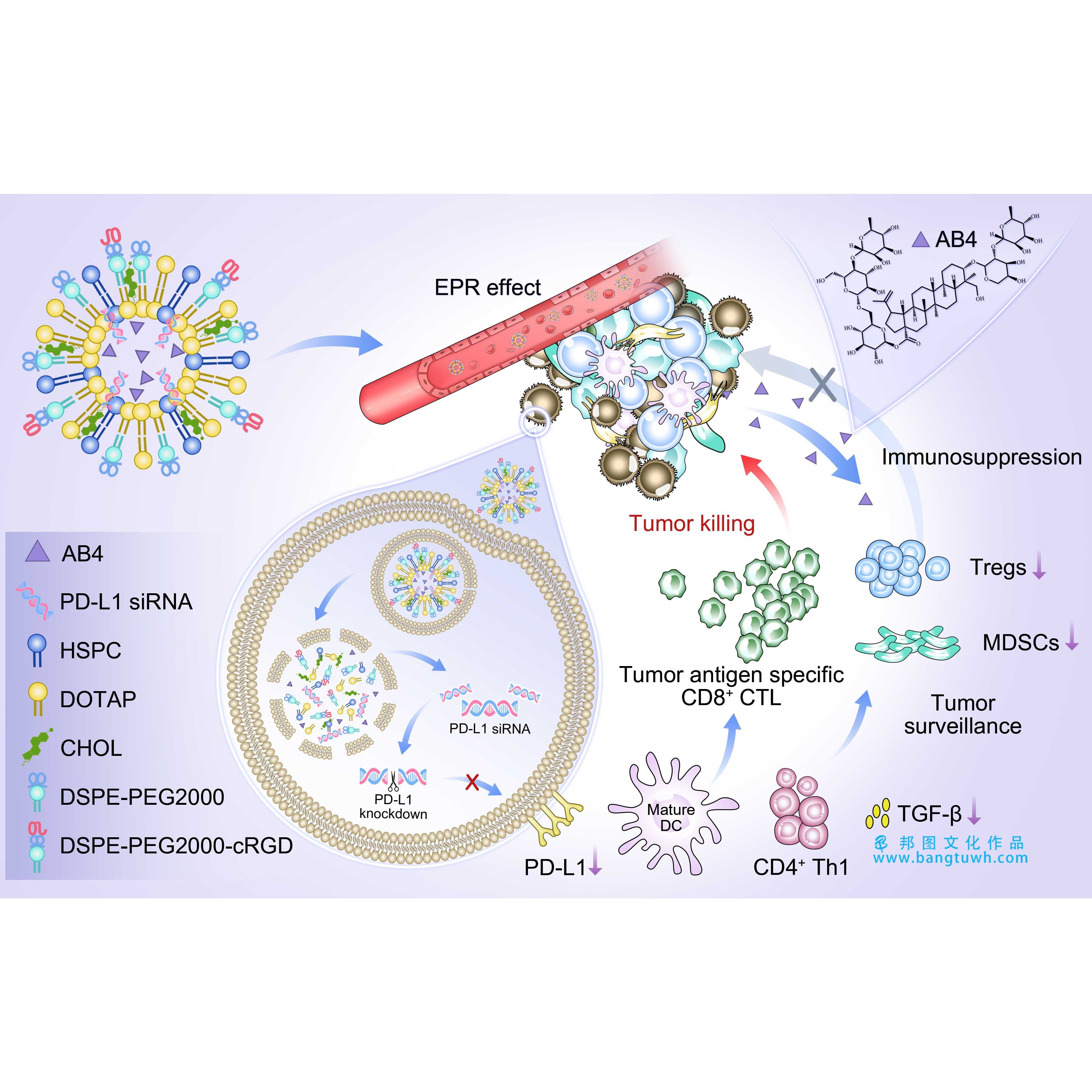 3dmax科研绘图国外SCI学术杂志封面配图美化生物医学动画插画设计,淘宝优惠券,粉丝福利购,淘宝优惠卷