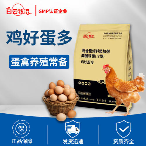 白云牧港 蛋鸡鸡鸭鹅用大品牌大厂家直供正品兽用1000g饲料添加剂 - 图0