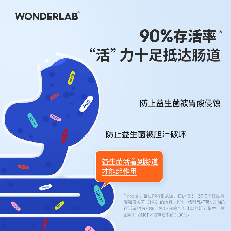wonderlab益生菌小蓝瓶大人冻干粉 wonderlab益生菌