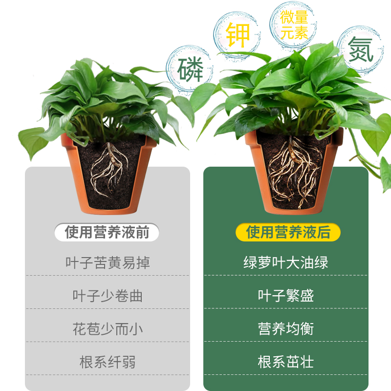 绿萝专用土养水培浓缩营养液植物通用型绿植花卉室内盆栽绿箩肥料-图2