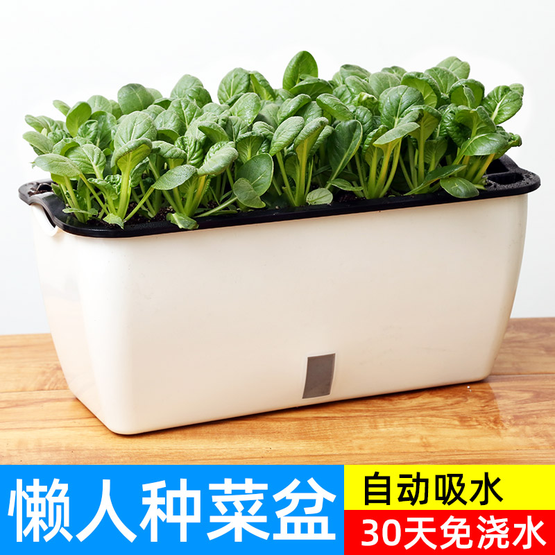 懒人花盆自动吸水种菜神器家庭阳台长方形塑料箱蔬菜种植盆栽专用-图0