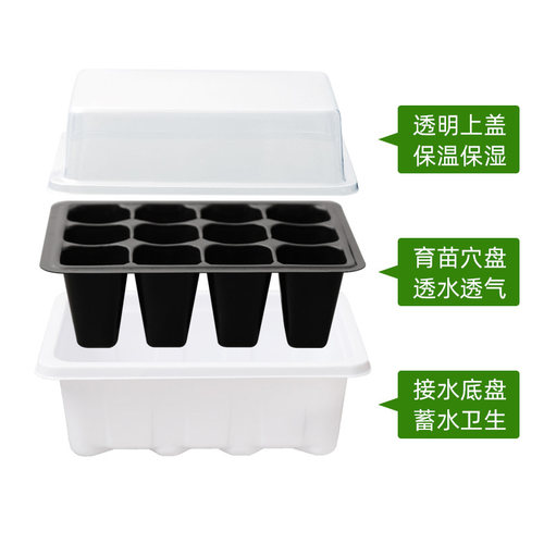 育苗神器穴盘营养杯塑料钵长方形托盘芽菜白菜扦插种植盒箱专用盆 - 图1