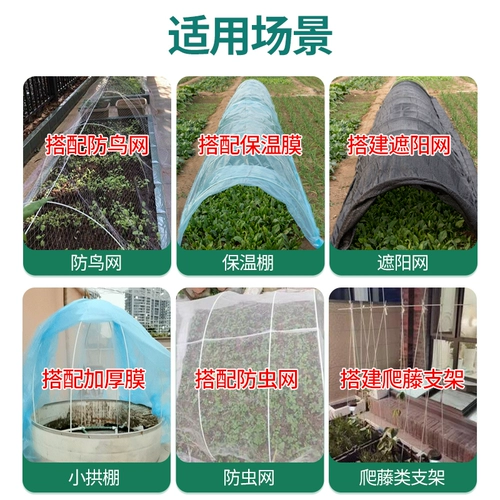 Стеклянная трубка, скелет, сельскохозяйственный стеклянный термос