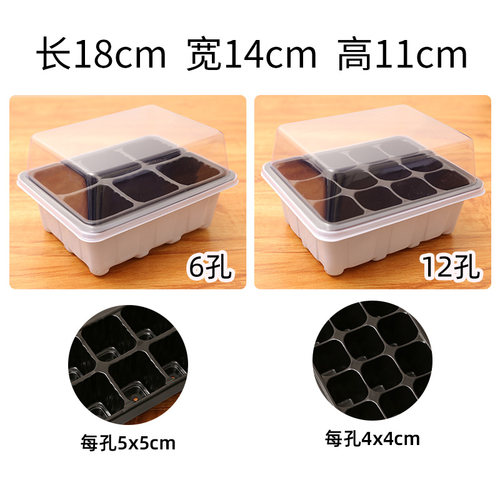 育苗神器穴盘营养杯塑料钵长方形托盘芽菜白菜扦插种植盒箱专用盆 - 图0