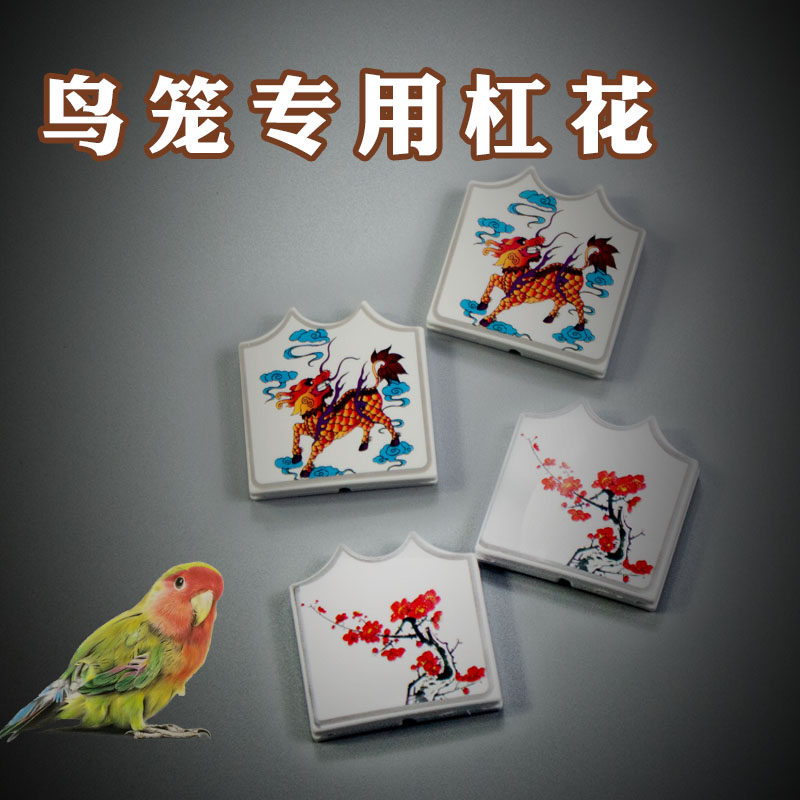 鹦鹉花八哥 新人首单立减十元 21年8月 淘宝海外