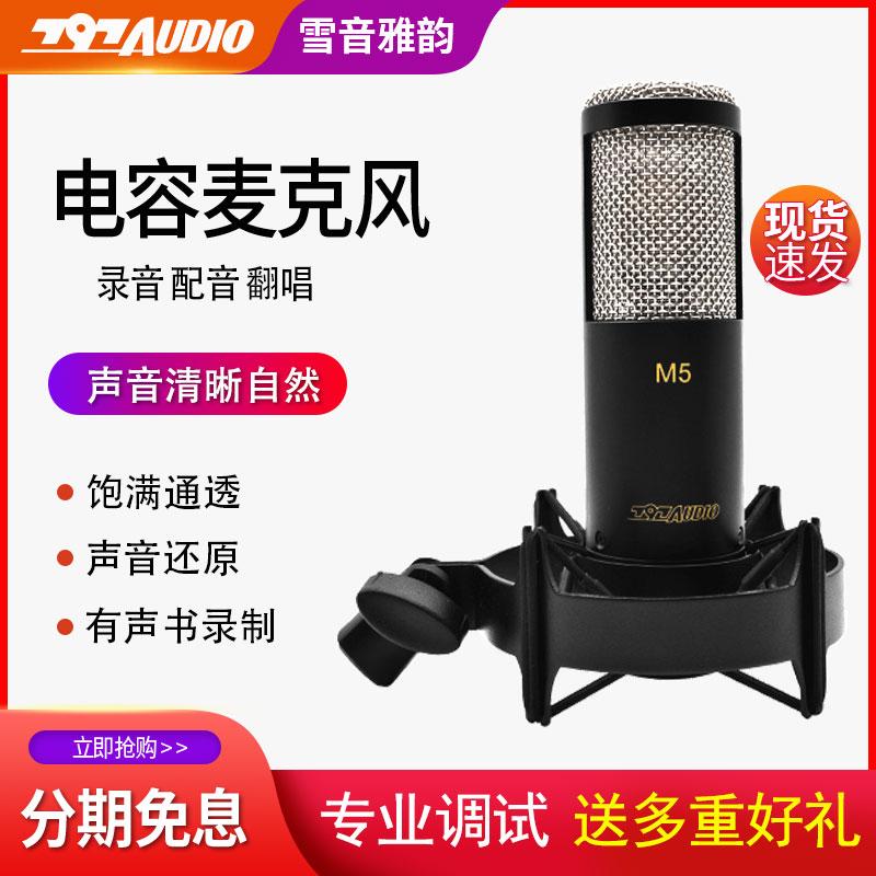 北京797 Audio M5专业录音电容话筒CV直播K歌麦克风配音吉他弹唱 - 图1