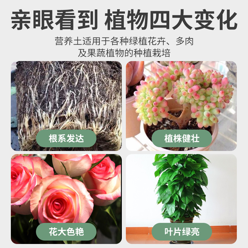 营养土养花通用专用种菜土壤种植土花卉绿萝土多肉椰砖种花泥炭土