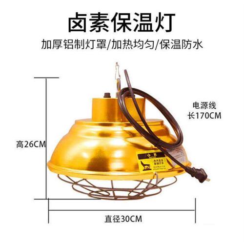 新型鸡仔节能可调温度育雏加热灯防爆灯耐高温芦丁鸡雏鸡发热温箱-图0