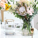 Вытягивание золотого края Light Роскошь, прозрачная стеклянная цветочная бутылка орнамент