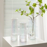 Ins ind wind nordic simple net red glass flower bottle phantom hydroponic plant Flower Room