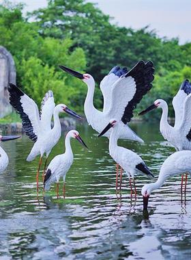 仿真白鹳雕塑水池塘庭院装饰户外仙鹤摆件玻璃钢园林景观白鹭模型
