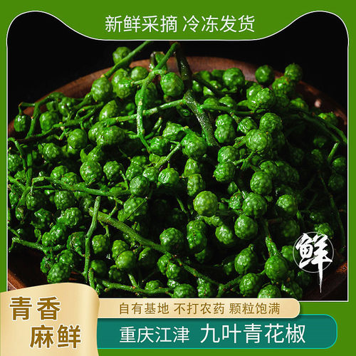 青花椒新鲜藤椒江津鲜花椒青藤椒350g/袋真空特麻保鲜麻椒生花椒 - 图2