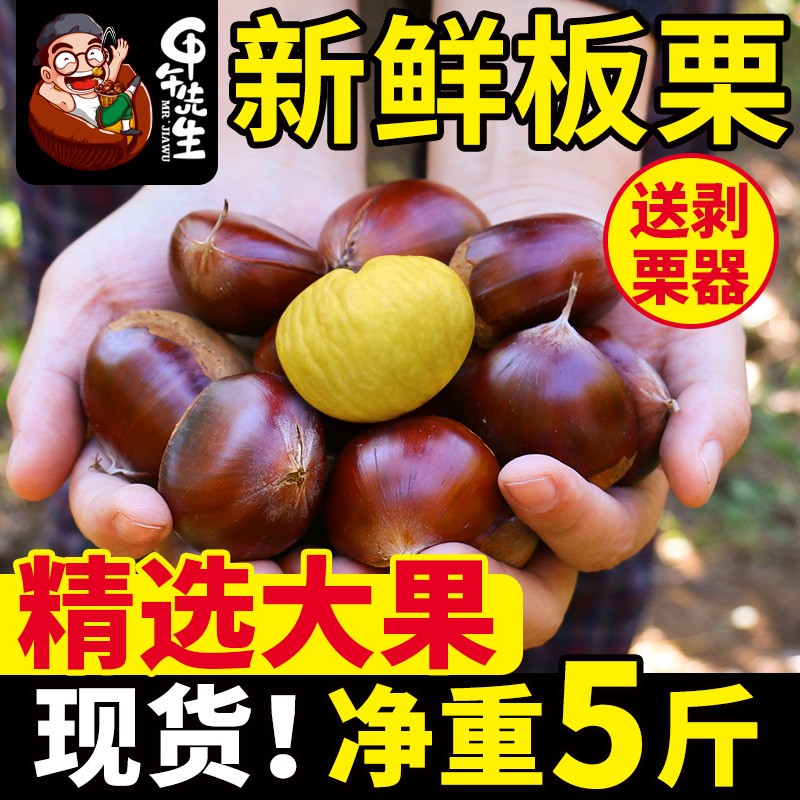 2024新鲜丹东板栗5斤鲜栗子生嫩大板粟锥栗野生板票 新油板栗10子