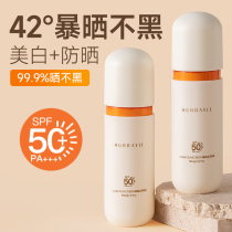 Sunscreen Cream Autumn Winter Women Facial Whitening Body UV Spray Milk Boys Special Official Flagship Store