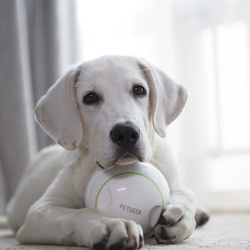 Гигви - игрушечная игрушка для собак, электрическая интеллектуальная утечка пищевая головоломка, головоломка непревзойденная артефакт катание на утечке домашних животных