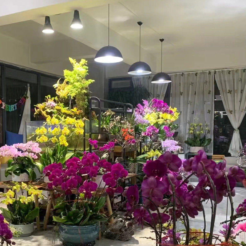 植物灯单灯全光谱led补光射灯室内花卉仿太阳生长雨淋缸多肉灯泡,淘宝优惠券,粉丝福利购,淘宝优惠卷