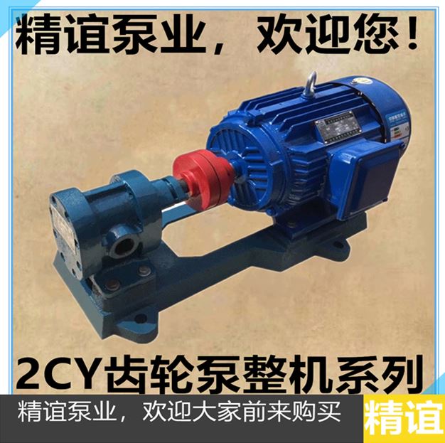 高温电动铸铁2CY10825齿轮油泵抽油泵自吸泵齿轮泵22KW整 - 图0