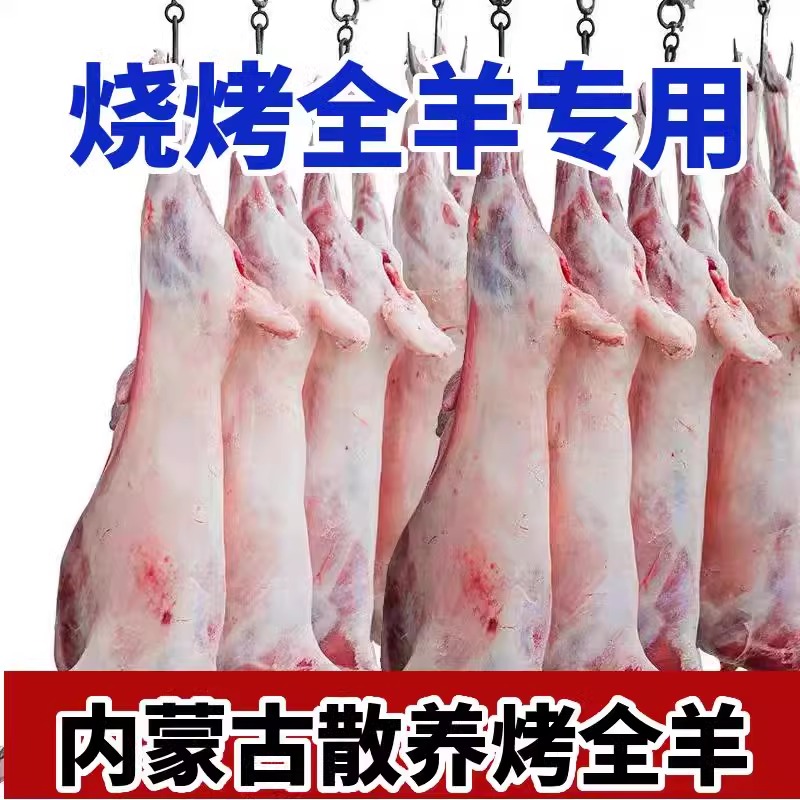 羊肉新鲜白条羊现宰整只内蒙羔羊酮体排酸烤全羊烧烤专用10-35斤 - 图0