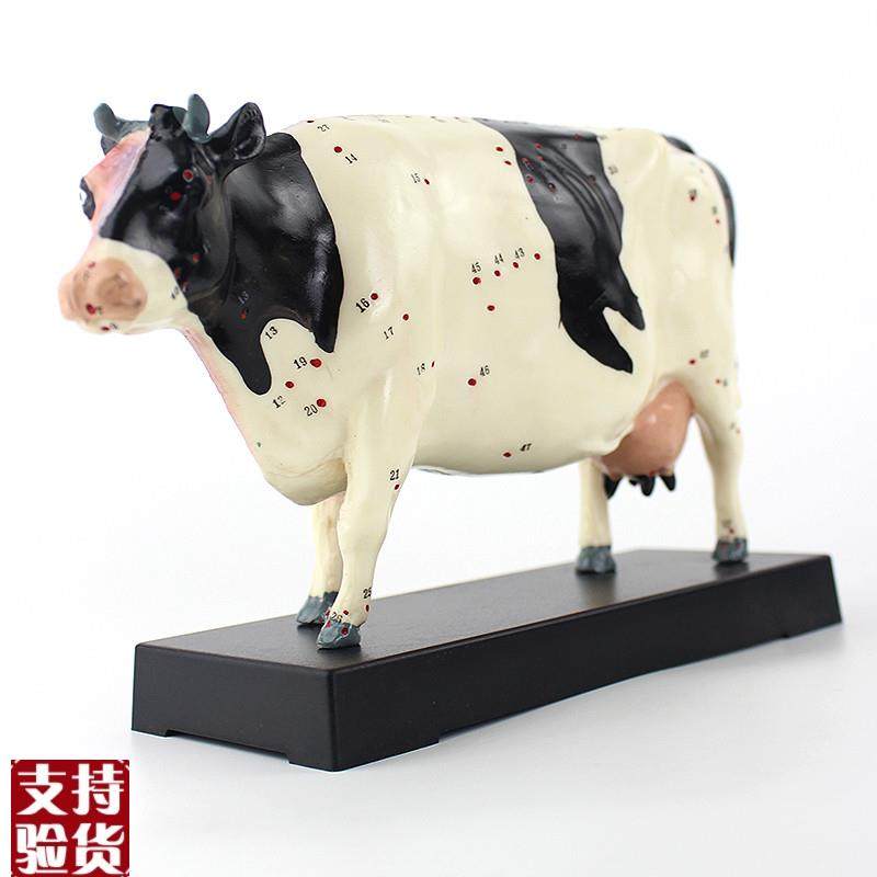 ENOVO颐诺牛针灸穴位模型物解剖模型宠物模型生U物畜牧教学针灸,淘宝优惠券,粉丝福利购,淘宝优惠卷