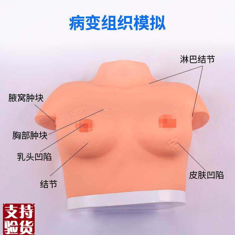 医博BIX-F7B高级乳腺视诊与触z诊模型乳房检查模型乳房乳腺病变检 - 图0