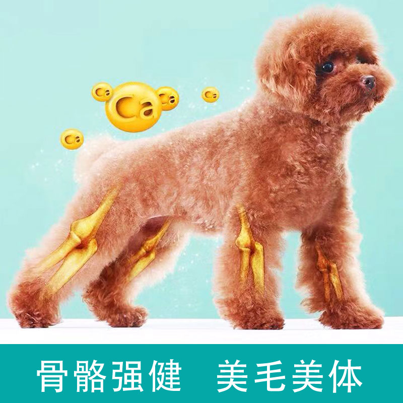 【专卖店】伊萨陪伴岁月狗粮2.5kg成犬幼犬泰迪金毛柯基通用型5斤
