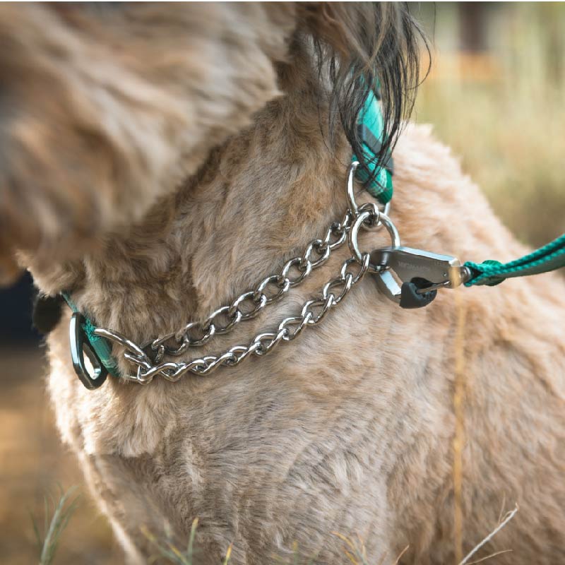 拉夫威尔瑞安客半P链狗狗项圈ruffwear中大小型犬狗颈圈狗脖圈 - 图3