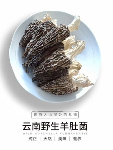 2024年头茬精品羊肚菌干货野生500g菌菇煲汤食材云南土特产旗舰店-图2