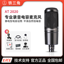 Audio Technica Iron Triangle AT2020 Capacitive Mcmike Live K Song Radio Professional Recording Package