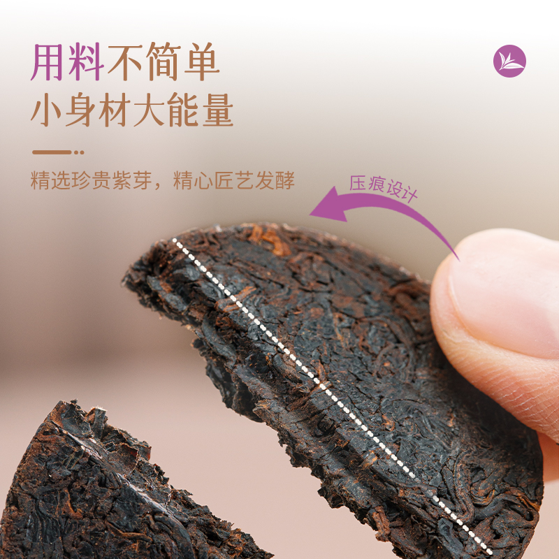 【品牌直营】澜沧古茶24年紫芽熟茶小饼普洱茶熟普茶20片送礼盒装