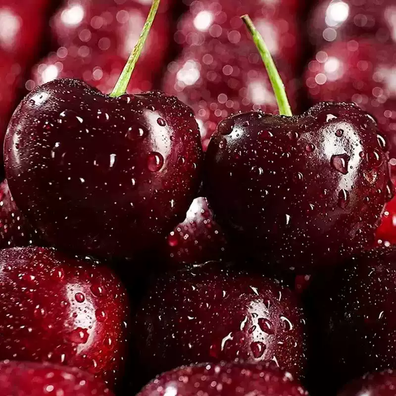 吉制智利进口车厘子空运新鲜原箱JJJ10斤礼盒装车厘子顺丰次日达,淘宝优惠券,粉丝福利购,淘宝优惠卷