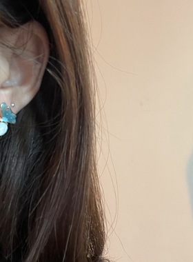 Elegant Rhinestone Flower Butterfly Stud Earrings For Women