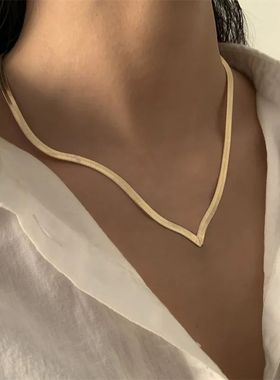 Korean Fashion Flat Snake Chain Herringbone Necklace for