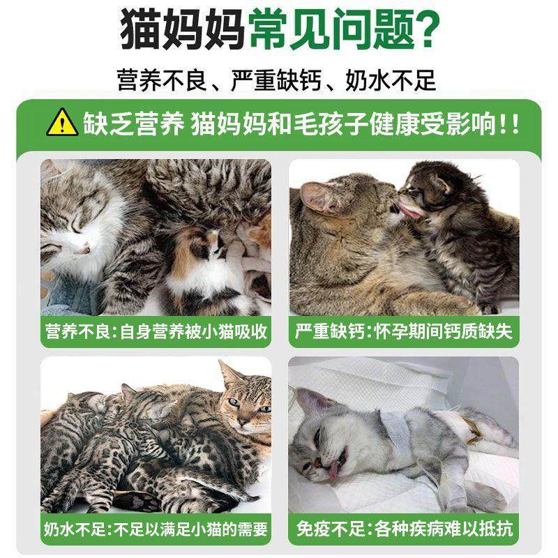 幼猫猫条母猫怀孕哺乳期产后专用猫罐头催乳补气血猫妈妈营养品,淘宝优惠券,粉丝福利购,淘宝优惠卷