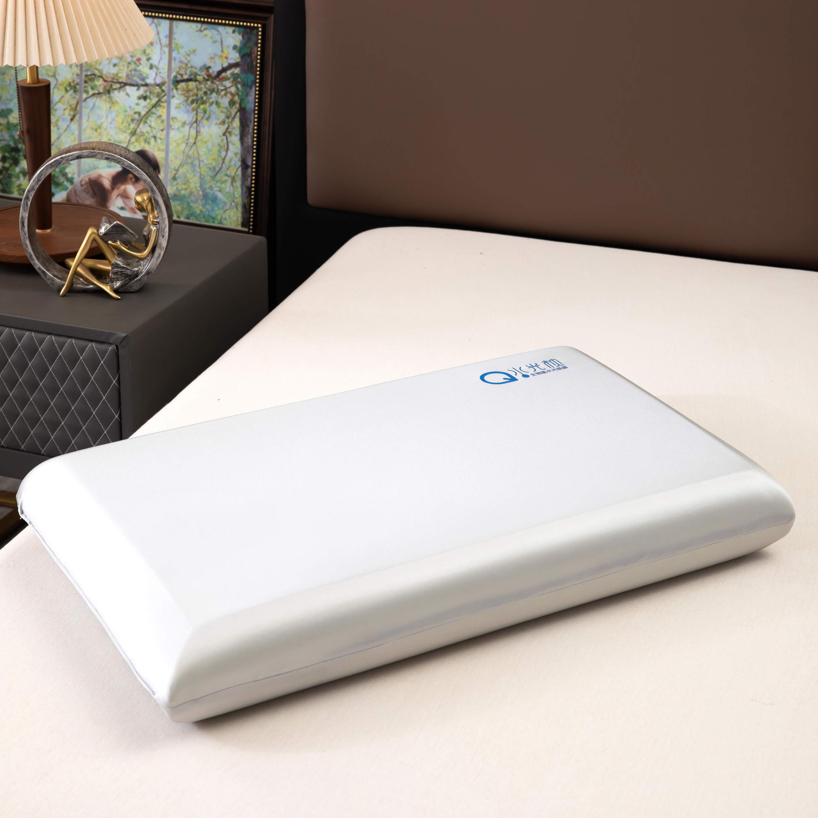 生物基水光记忆棉枕头护颈助眠慢回弹深睡眠工学枕芯成人睡觉专用