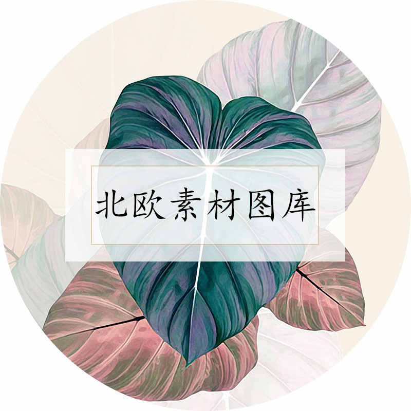 素材北欧 新人首单立减十元 22年8月 淘宝海外