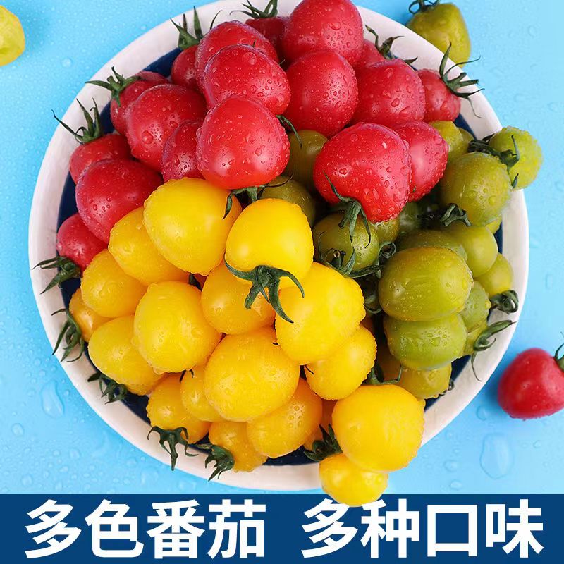 圣女果彩色小番茄新鲜水果生吃现摘黄色绿迷彩红色3色5斤樱桃千禧,淘宝优惠券,粉丝福利购,淘宝优惠卷