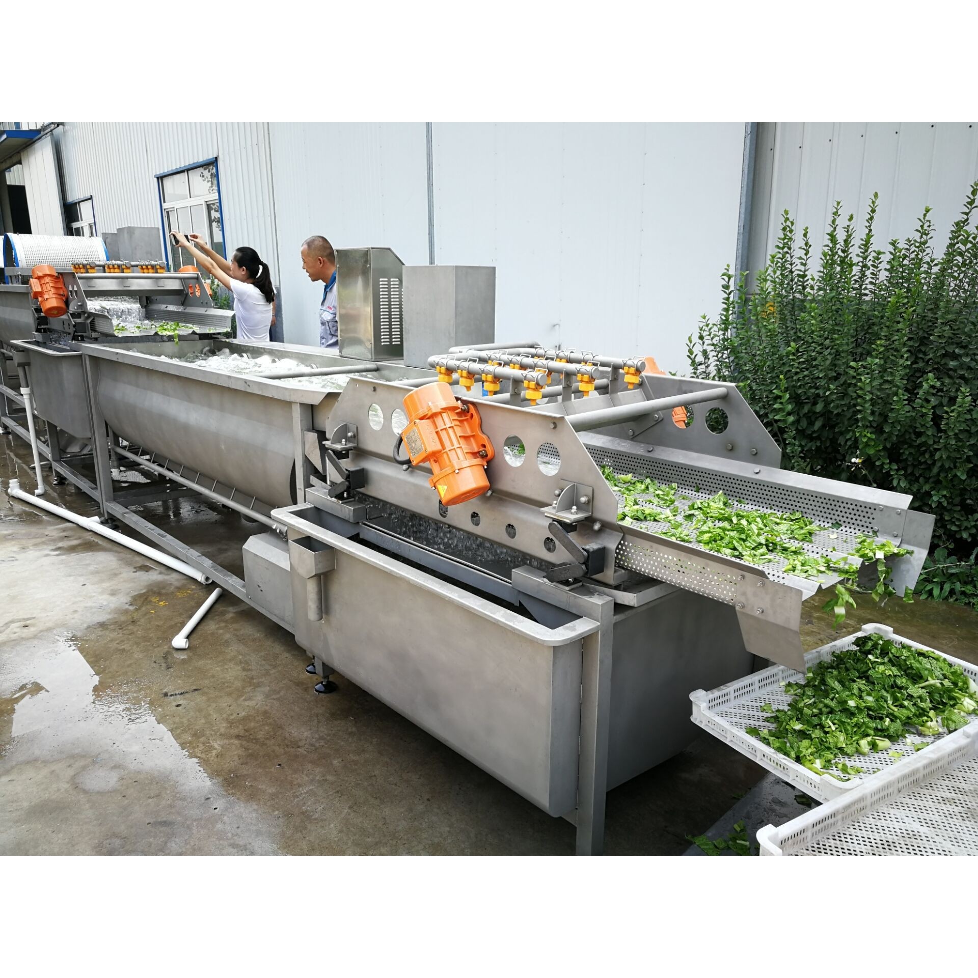 大型商用全自动果蔬无损清洗生产线中央厨房配套流水线净菜流水线,淘宝优惠券,粉丝福利购,淘宝优惠卷