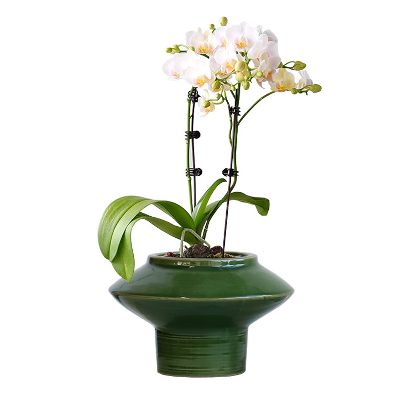 陶瓷花盆家用客厅创意个性复古简约高脚室内绿植专用中式禅意花器,淘宝优惠券,粉丝福利购,淘宝优惠卷