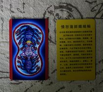 PVC card Tibet Buddha card with the Buddha Angry Lotus Master Iron Scorpion Wheel Buddha Statue Card small Donka