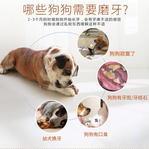 Игрушка для собак, кусая зубы палка, щенки костяная кость щенки