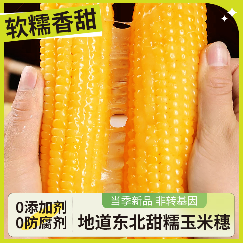 东北甜糯玉米新鲜现摘2022黄黏玉米粒低脂真空包装水果香粘苞米棒-图2